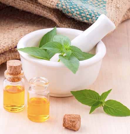 6bfeb807 home about 1.jpg