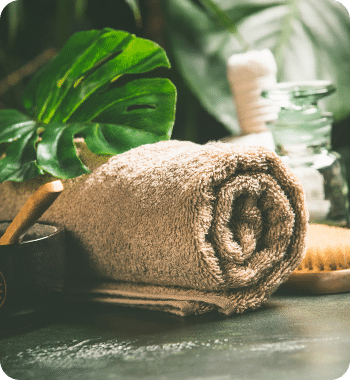 b97b5d07 gl image 5.png